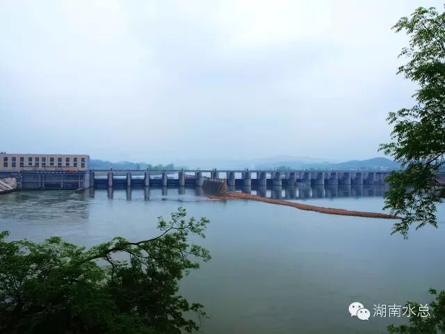 DC07E417B8E44588D62F3501F105FC6E.jpg